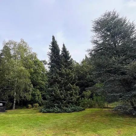 Vintage Ferienhaus Mit Aussensauna Direkt Am Wald Inklusive Riesigem Garten Fuer Bis Zu 7 Personen Auf Dem Heidchen * Knüllwald