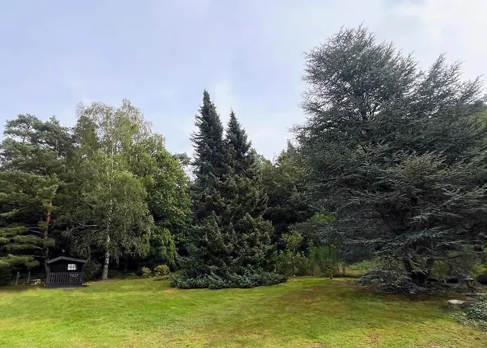 Vintage Haus Auf Dem Heidchen Mit Sauna * Knüllwald